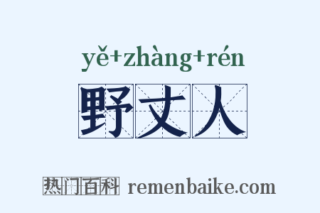 野丈人是什么意思的图片